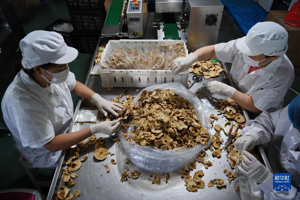 哪里能玩斗牛纸牌游戏